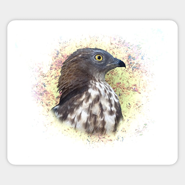 Honey buzzard Sticker by Guardi